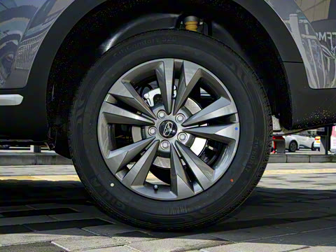 2025�� 1.5L �ֶ�������