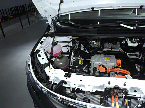 2025�� ��������