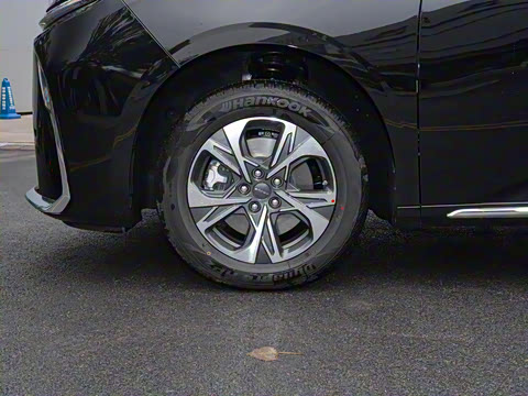 2024�� ���� ��������ԭ�� ����