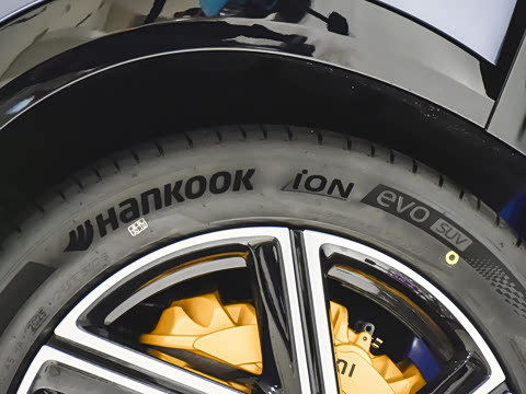 2025�� ��������������