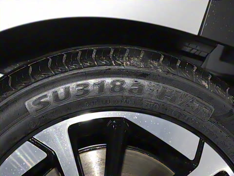 2024�� Younger ��ҫ��