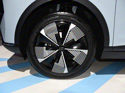 2025�� 565km ������