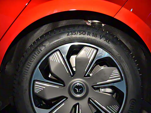 2025�� 550��ѡ��