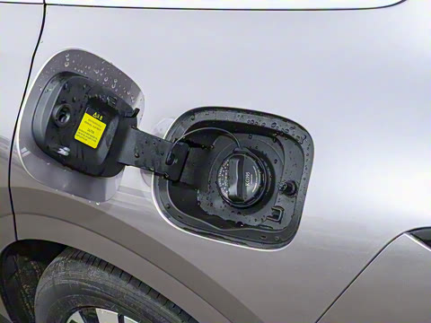 2025�� ���� ����� 230 ������