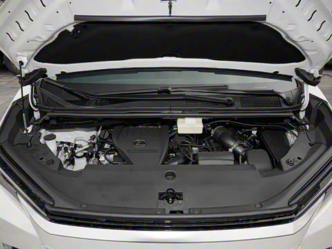 2023�� 500h ����������