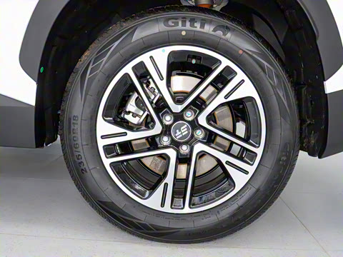 2024�� 1.5TD DHT MAX