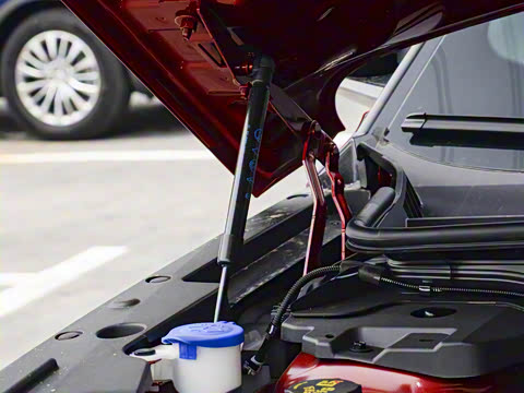 2025�� 2.0T ������������˹��