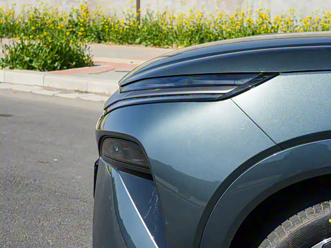 2025�� EV 600KM���������״��콢��