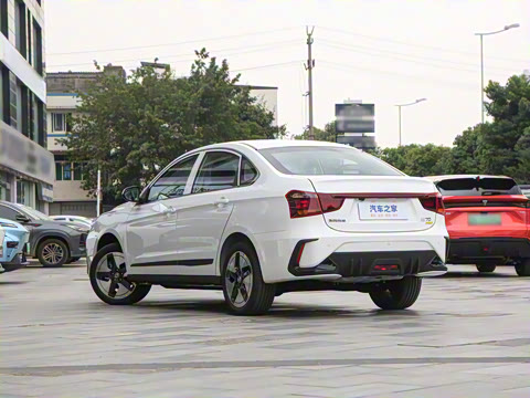 2025�� PRO ���а�