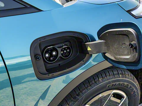 2025�� 420������