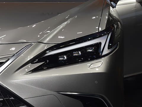 2025�� 300h ������