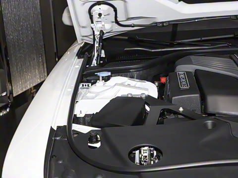 2025�� Black Badge