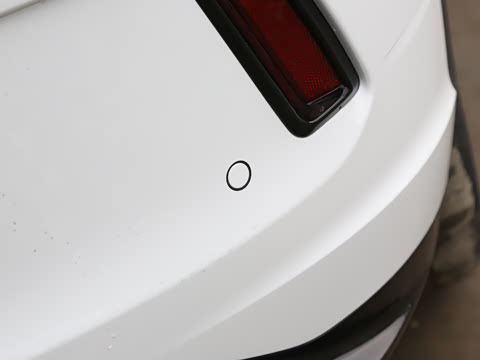 2025�� 300TSI DSG���������