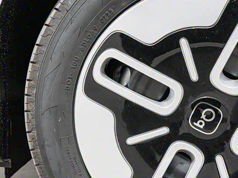 2025�� 305km ������