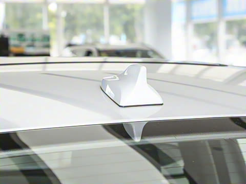 2024�� 127 Զ���� ������