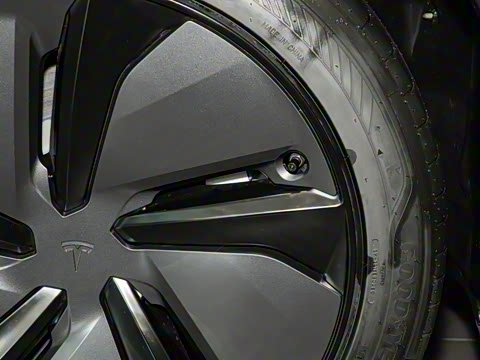 2025�� ����������