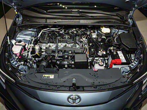 2024�� ���ܵ��˫�� 1.8L �˶���