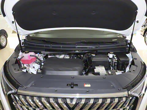 2025�� 2.0T �ǻ�������