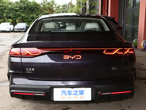 2024�� DM-i 120KM������