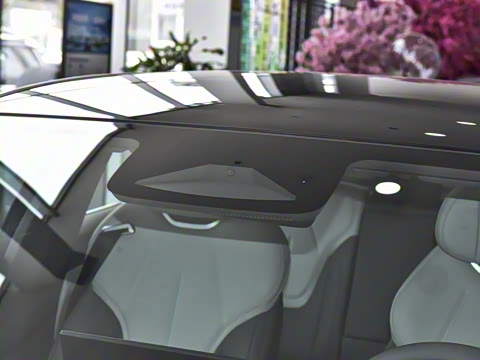 2025�� 530Max  �����Ǽ�AD PRO�����