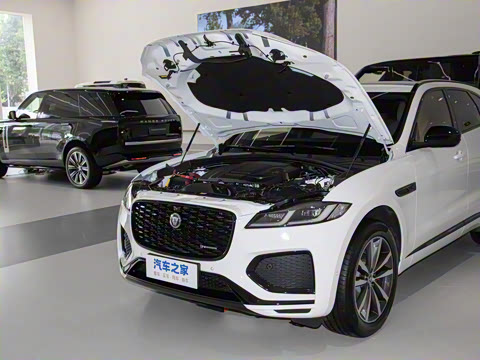 2025�� P250 R-Dynamic SE