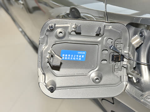 2024�� 2.0L �ȷ��