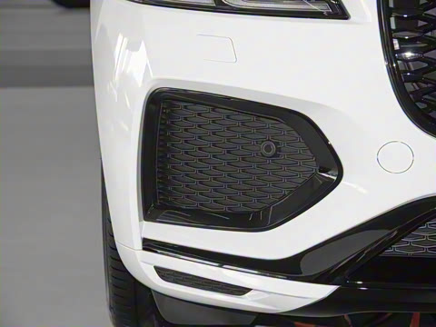 2025�� P250 R-Dynamic SE