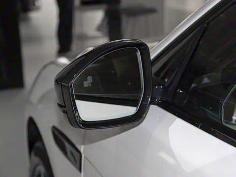 2025�� P250 R-Dynamic SE