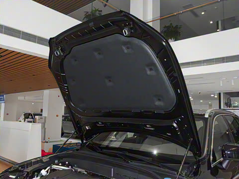 2025�� B5 �������ݺ�����