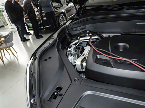 2025�� T8 ��������� 7��