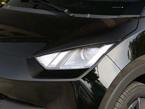 2025�� 305km ������