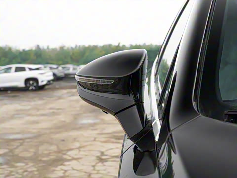 2024�� DM-i ��ҫ�� 112KM �����