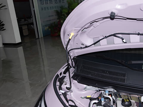 2025�� 330�ǻ԰�