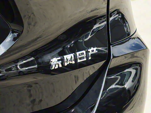 2025�� ���� 2.0L �������Ȱ�