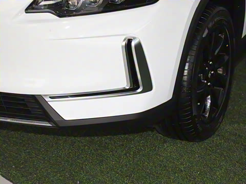 2024�� 520 ���а�