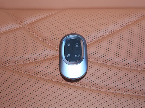 2024�� 1.5T 120km MAX 5��