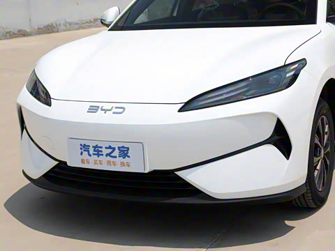 2025�� 520�ǻݰ�