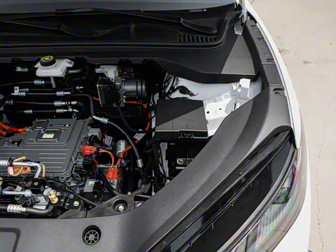 2025�� 520�ǻݰ�