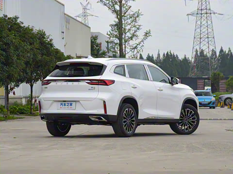 2025�� 300T ������ҫ��