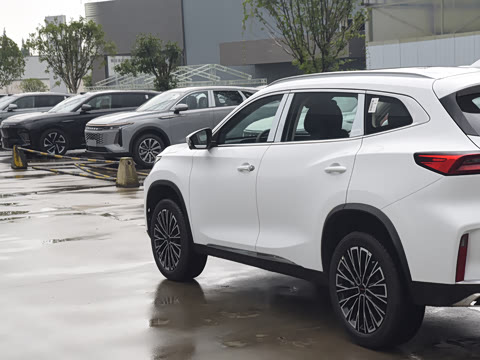 2025�� 300T ������ҫ��