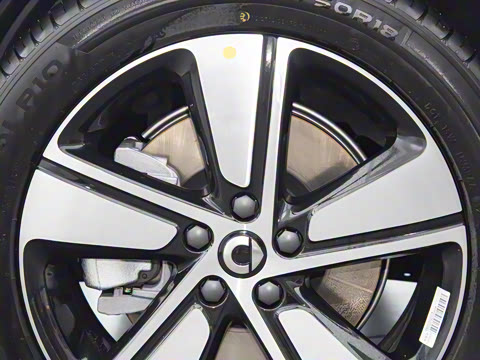 2026�� �鶯������