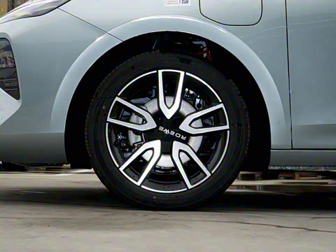 2025�� 450km ������