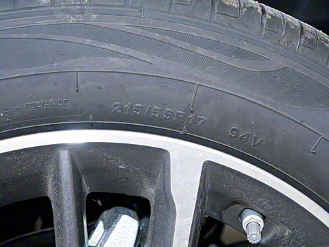 2025�� ������ 1.5TD �����+