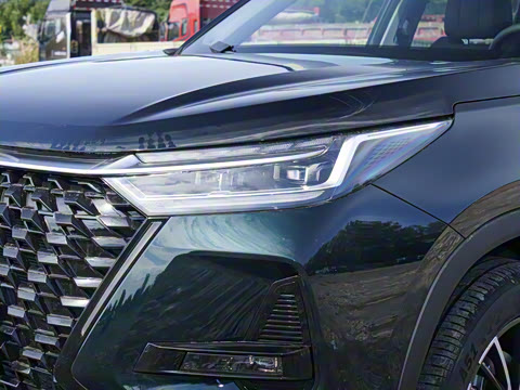 2025�� 290T ��������