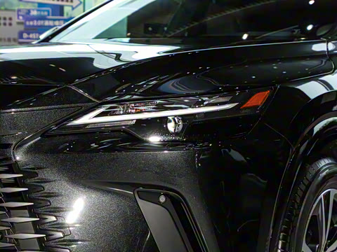 2025�� 300 ����������