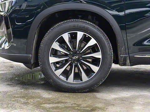 2025�� 290TGDI DCT�˷�� 