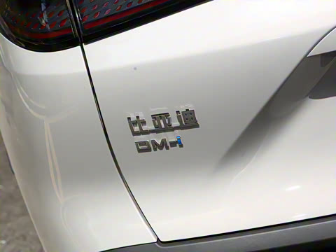 2025�� DM-i �Ǽݰ� 75KM������