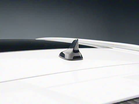 2025�� ����� 125 ������