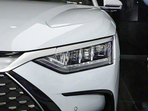 2024�� DM-i ��ҫ�� 121KM �����