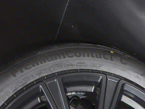 2025�� ������